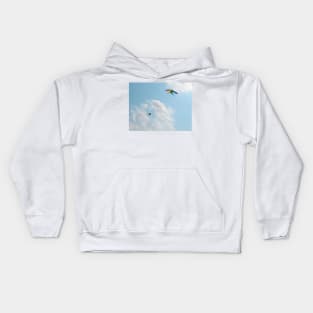 Two Kites in Sky Kids Hoodie